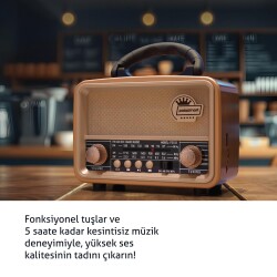 Polosmart FS103 Nostaljik Radyo Kahverengi - 3