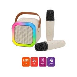 Polosmart PBS169 2 Mikrofonlu Karaoke Seti Bluetooth 5.3 RGB LED Işıklı Taşınabilir Hoparlör - 2